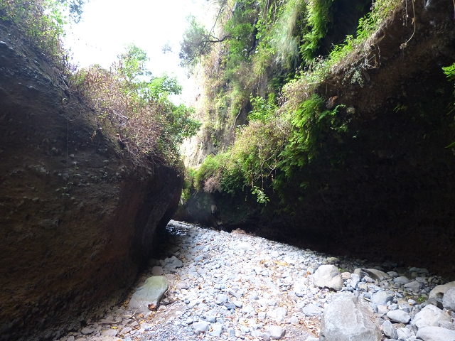 Levada do Caniço (de Baixo) — Beschreibung — Foto 5