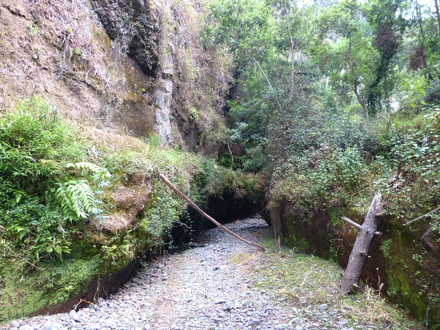 Levada do Caniço (de Baixo) — Beschreibung — Foto 7