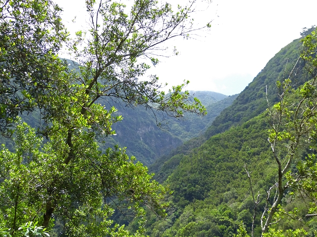 Levada do Castelejo — Levada do Castelejo bis Terra do Baptista — Foto 9