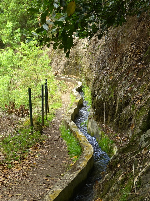 Levada do Castelejo — Levada do Castelejo bis Terra do Baptista — Foto 6