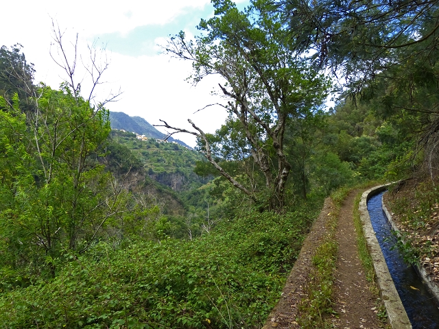 Levada do Castelejo — Levada do Castelejo bis Terra do Baptista — Foto 4