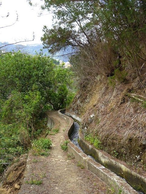 Levada do Castelejo — Levada do Castelejo bis Terra do Baptista — Foto 3