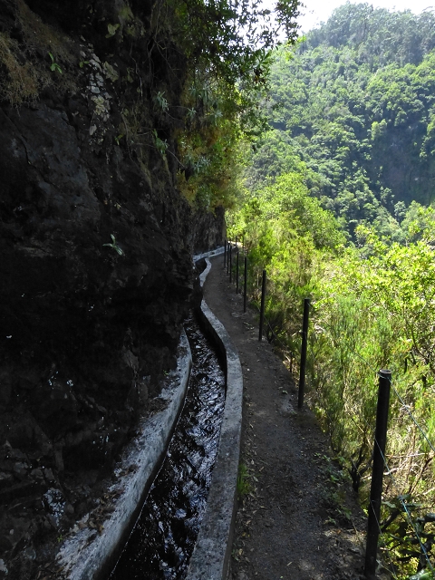 Levada do Castelejo — Levada do Castelejo bis Terra do Baptista — Foto 10