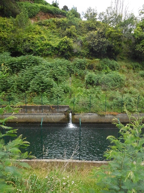 Levada do Castelejo — Levada do Castelejo sup. — Foto 9