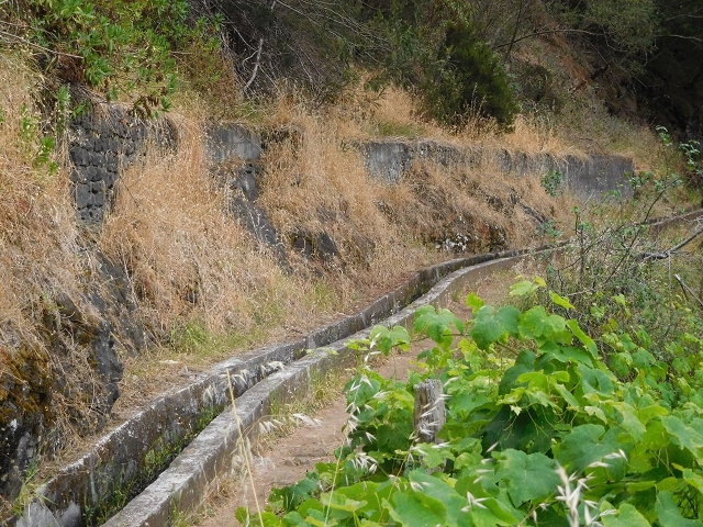 Levada do Castelejo — Levada do Castelejo sup. — Foto 4