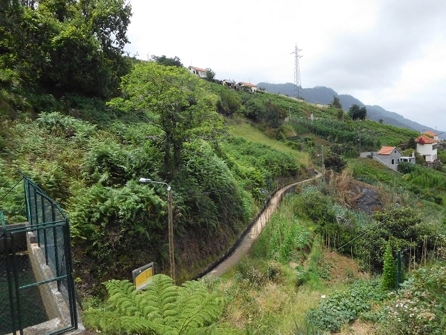 Levada do Castelejo — Levada do Castelejo sup. — Foto 7