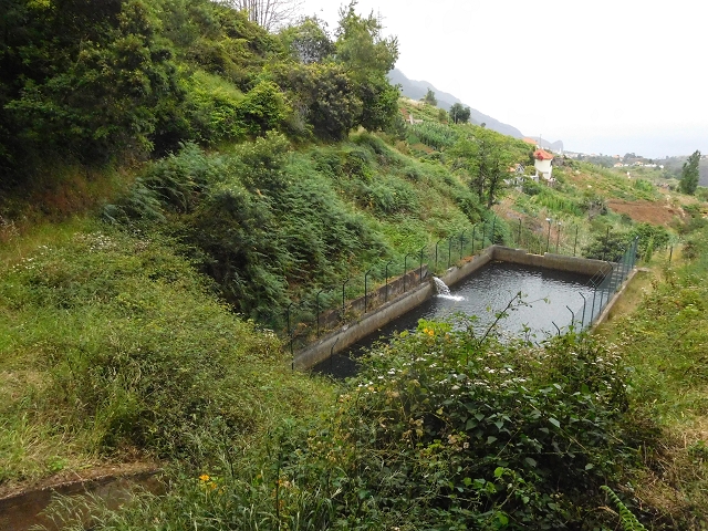 Levada do Castelejo — Levada do Castelejo sup. — Foto 8