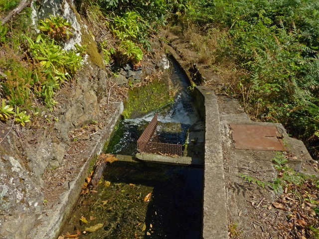 Levada do Cedro Gordo — Troço 1 — foto 1