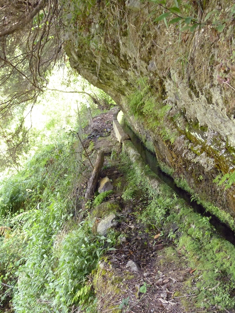 Levada do Cedro Gordo — Troço 2 — foto 6