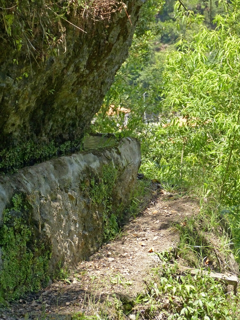 Levada do Cedro Gordo — Troço 2 — foto 7