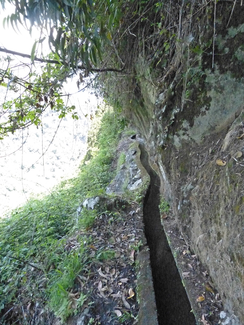Levada do Cedro Gordo — Troço 2 — foto 8