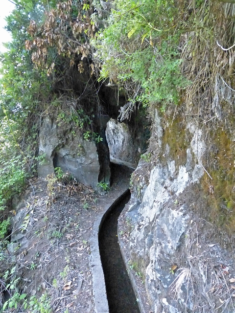 Levada do Cedro Gordo — Troço 2 — foto 9