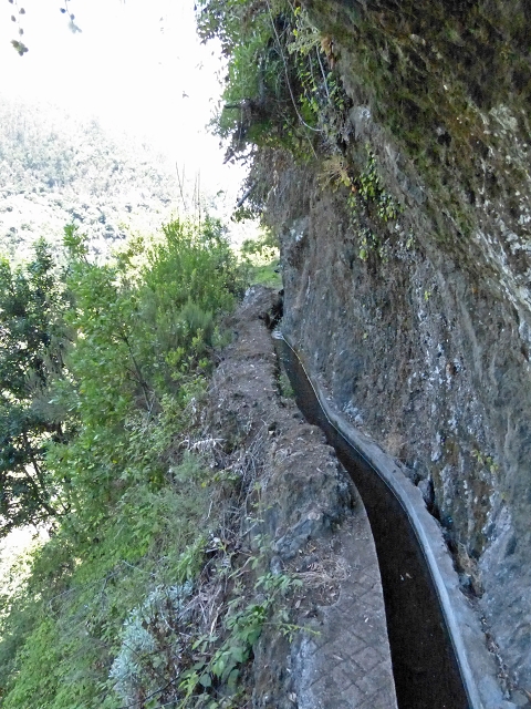 Levada do Cedro Gordo — Troço 2 — foto 10