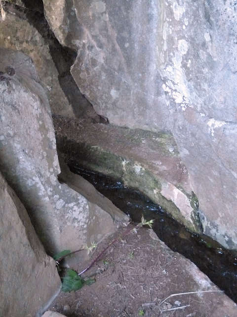 Levada do Cedro Gordo — Troço 2 — foto 11