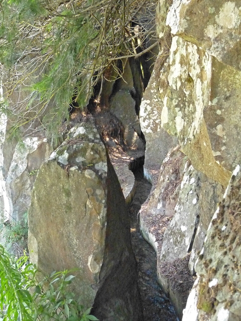 Levada do Cedro Gordo — Troço 2 — foto 12