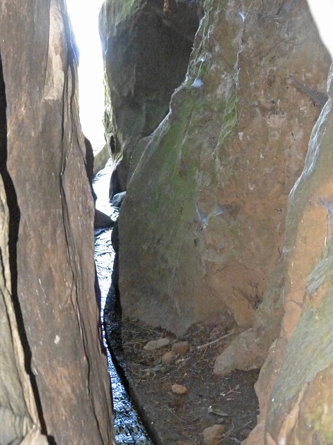 Levada do Cedro Gordo — Troço 2 — foto 13