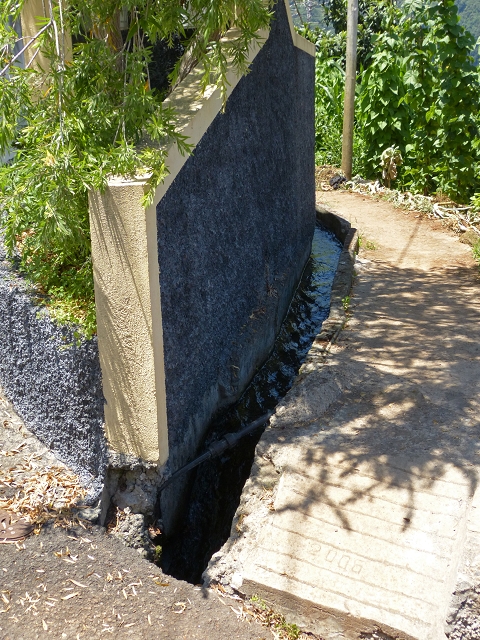 Levada do Cedro Gordo — Troço 2 — foto 15