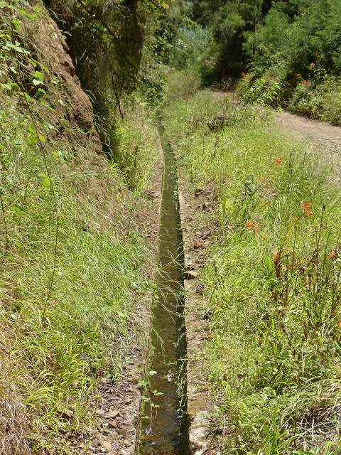 Levada do Cedro Gordo — Troço 1 — foto 3
