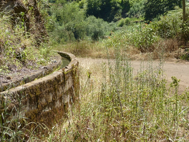 Levada do Cedro Gordo — Troço 1 — foto 4