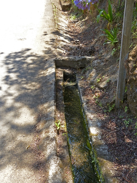 Levada do Cedro Gordo — Troço 1 — foto 5