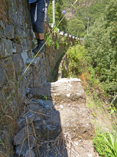Levada do Cedro Gordo — Troço 2 — foto 1