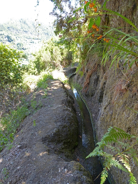 Levada do Cedro Gordo — Troço 2 — foto 2