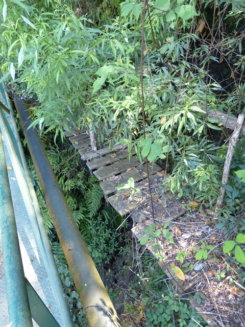 Levada do Cedro Gordo — Troço 2 — foto 3
