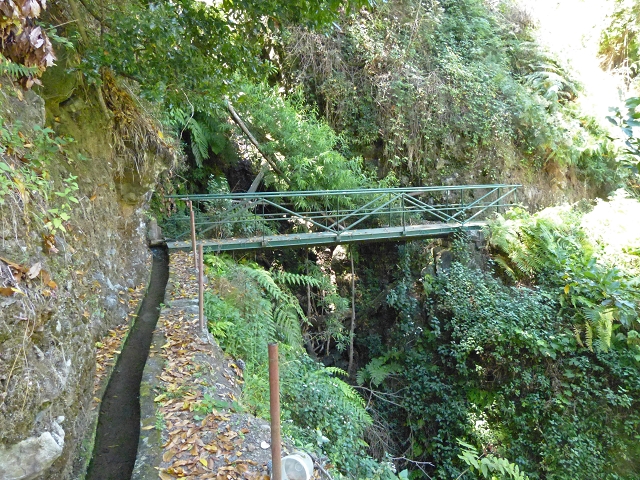 Levada do Cedro Gordo — Troço 2 — foto 4