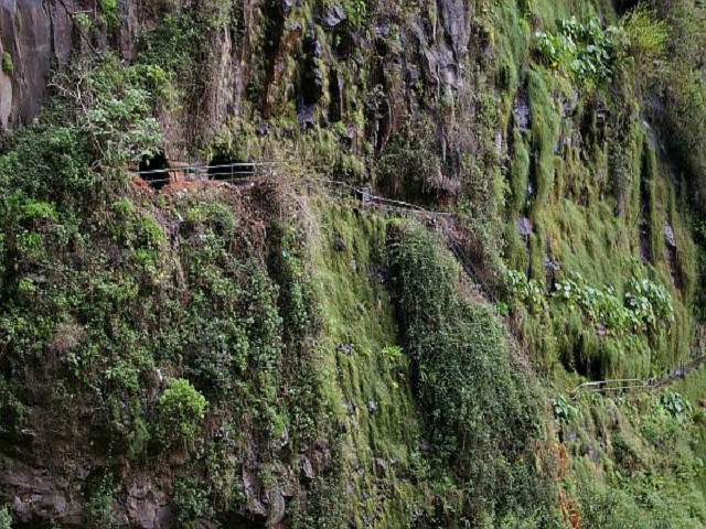 Levada do Curral e Castelejo — Foto 9