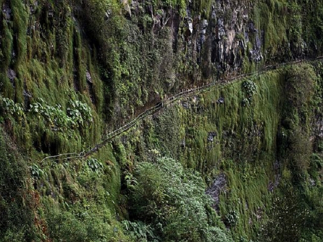 Levada do Curral e Castelejo — Foto 10