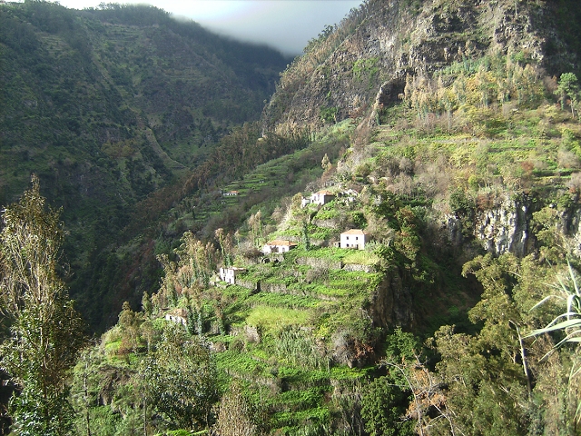 Levada do Curral e Castelejo — Foto 14