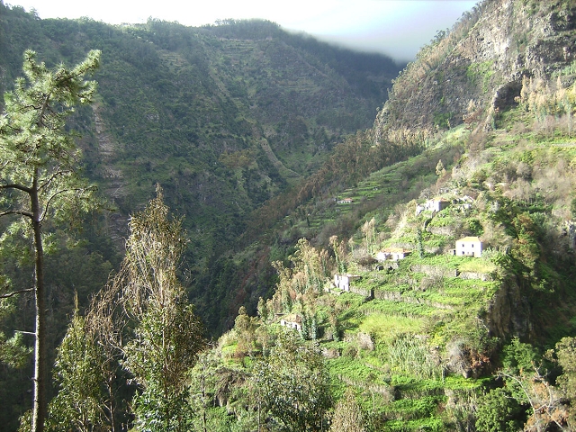 Levada do Curral e Castelejo — Foto 15