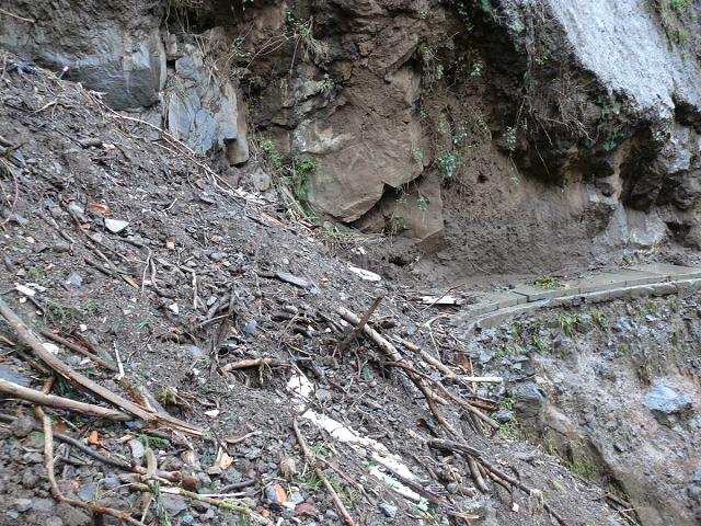 Levada do Curral e Castelejo — Foto 16