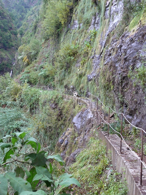 Levada do Curral e Castelejo — Foto 17