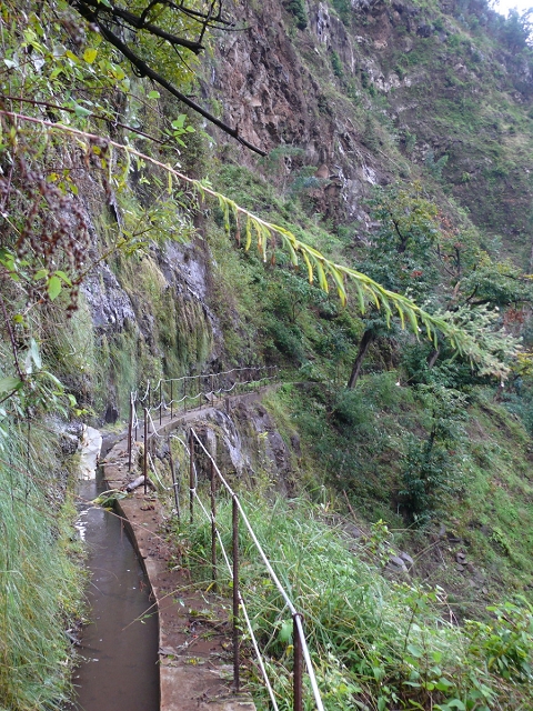 Levada do Curral e Castelejo — Foto 18
