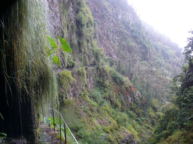 Levada do Curral e Castelejo — Foto 19