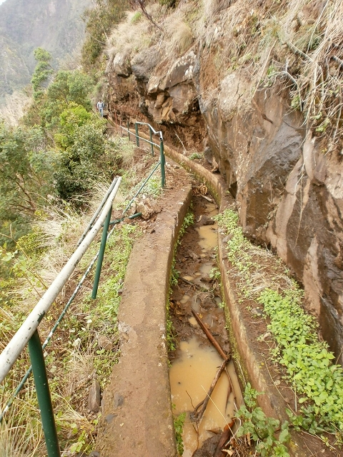 Levada do Curral e Castelejo — Foto 20