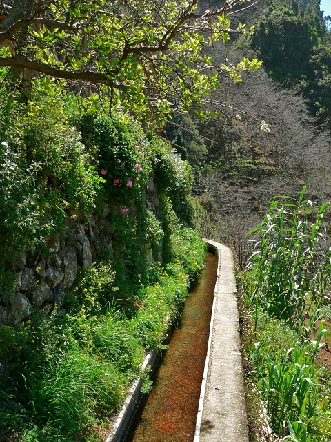 Levada do Curral e Castelejo — Foto 2
