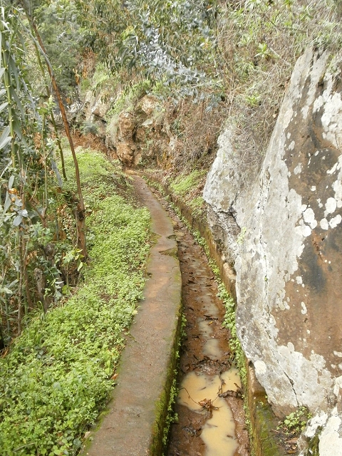 Levada do Curral e Castelejo — Foto 21