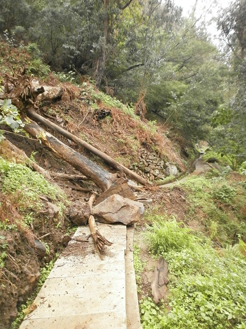 Levada do Curral e Castelejo — Foto 23