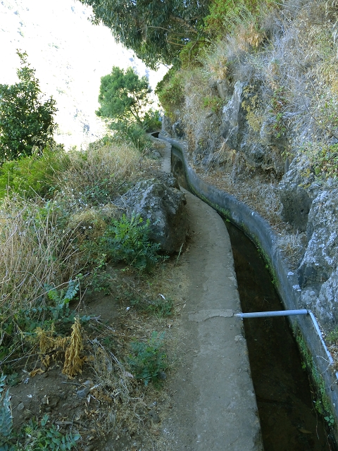 Levada do Curral e Castelejo — Foto 78