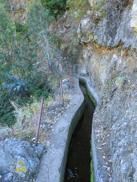 Levada do Curral e Castelejo — Foto 77