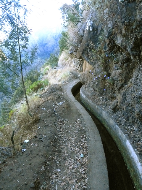 Levada do Curral e Castelejo — Foto 76