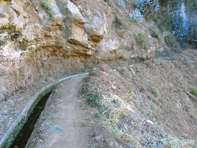 Levada do Curral e Castelejo — Foto 74