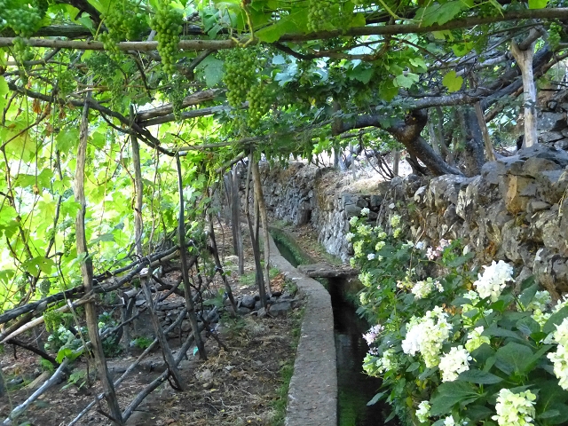 Levada do Curral e Castelejo — Foto 71
