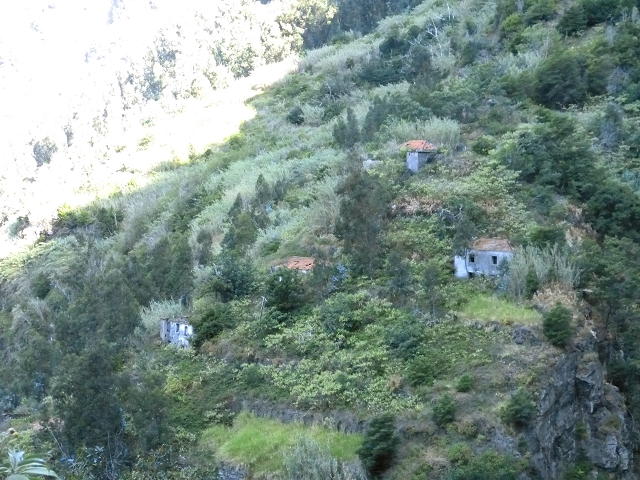 Levada do Curral e Castelejo — Foto 70