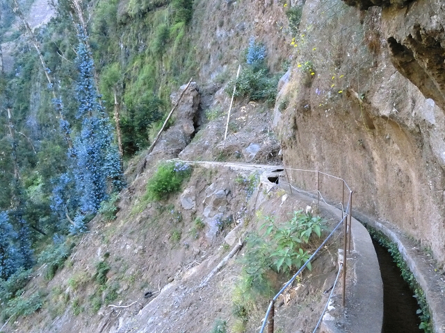 Levada do Curral e Castelejo — Foto 67