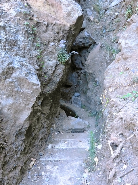Levada do Curral e Castelejo — Foto 68