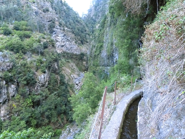 Levada do Curral e Castelejo — Foto 66