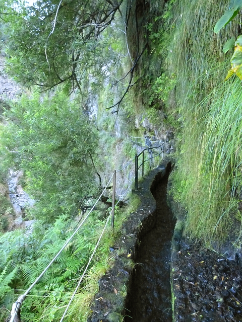 Levada do Curral e Castelejo — Foto 65